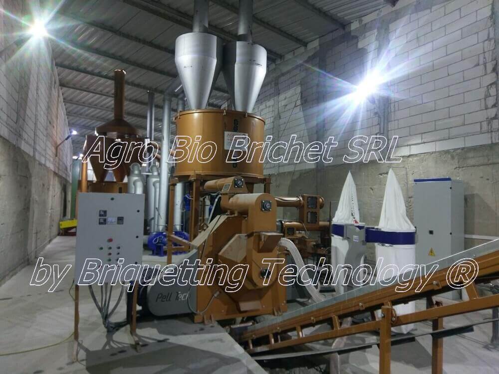 Production facility for sawdust pellets in Adunatii-Copaceni